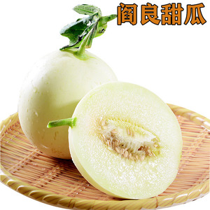 陕西阎良甜瓜应季水果新鲜白香脆瓜当季现摘现发整箱3/5/10斤包邮