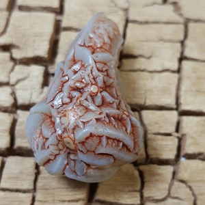 阿拉善 奇石观赏石 戈壁玛瑙 地表精品 血脉 筋脉石 经脉石 原石