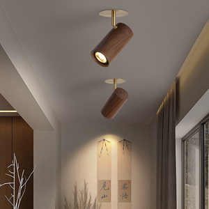 胡桃木射灯嵌入式客厅背景墙走廊过道玄关衣帽间明暗装新中式筒灯