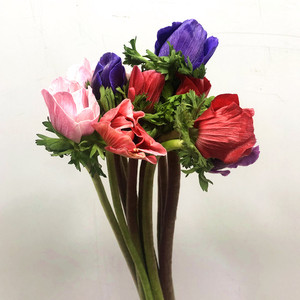 进口超a级品质银莲花 混色百搭水培家庭插花生日礼物同城鲜花速递