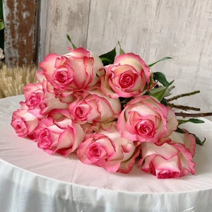 艾莎玫瑰鲜花云南直发昆明直批基地斗南花市水养花束切花插花爱莎