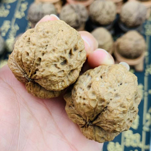 云南野生铁核桃把玩2棱疙瘩金蟾包落地果直播挑选