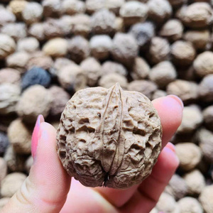 云南野生铁核桃通货3棱4棱把玩铁皮核桃文玩铁核桃异型称斤