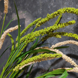 仿真稻谷草 仿真谷子装饰植物纯草 原野风格造景摄影道具弯草谷物