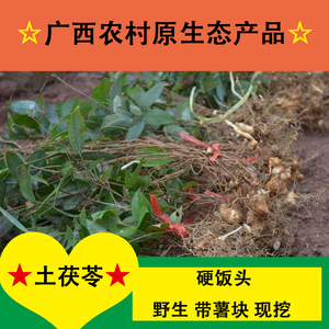 野生现挖白肉土茯苓苗硬饭头苗猪苓山地冷饭团过山龙一份10株包邮