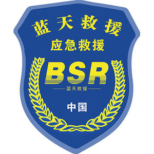 蓝天救援队车贴