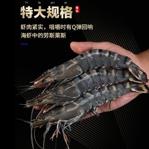 【新货】特大新鲜黑虎虾鲜活冷冻海虾老虎虾海鲜水产九节虾斑节虾