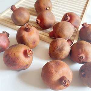 天然风干大石榴复古装家居饰特色民宿干果实植物标本文艺拍摄道具