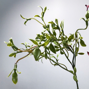 柳条编织材料手工