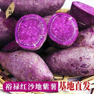 裕禄红富硒紫薯新鲜现挖农家自种番薯婴儿辅食软糯香甜 无丝5斤装