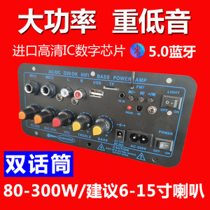 低音炮内置蓝牙功放板大功率音响主板12v24v220v通用电压车载家用