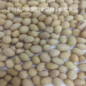 湖南农家自种小黄豆  打豆浆发豆芽杂酿专用  老品种黄豆4斤包邮