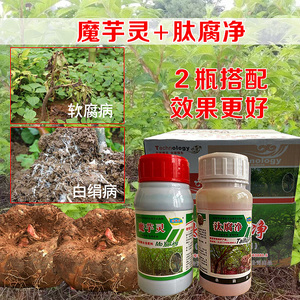 汰腐净魔芋灵魔芋多元消毒粉魔芋软腐病根腐病防病增产杀菌消毒药