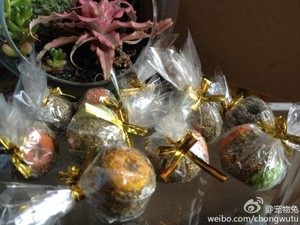 兔子磨牙零食 草可丽糖球 磨牙 兔子零食 龙猫磨牙零食 1颗