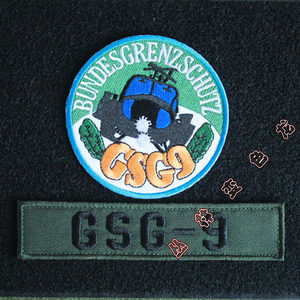 德国gsg9