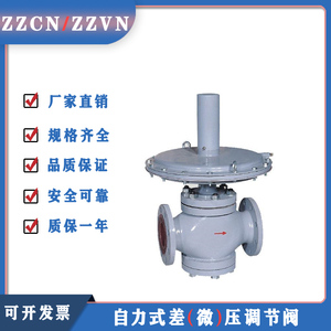 ZZVN、ZZCN自力式差压/微压调节阀双座充氮阀氮封装置DN25~DN300