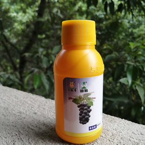 小旺哥劲娃夏黑葡萄膨大剂膨大素 去核保果膨大一体剂 软梗不裂果