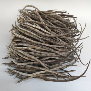 汕尾本港海龙干大四角海钻中药材泡酒煲汤滋补品干货50g约15条