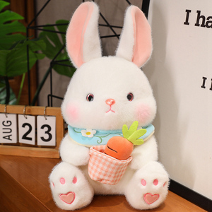 爱妮兔玩偶毛绒玩具抱胡萝卜小兔子公仔大白兔布娃娃儿童生日礼物