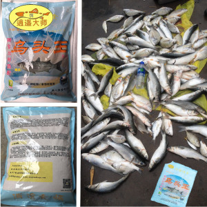 逍遥乌头王乌头鱼小乌头鲻梭饵料窝料 神经钩 鱼饵 渔饵 逍遥大师