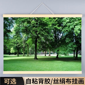 树林森林装饰挂画自粘风景山水海报绿树护眼绿色背景墙贴图壁画