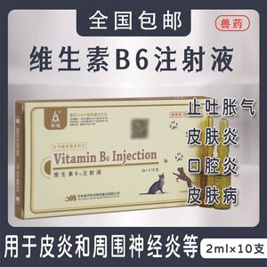维生素b6注射用液兽药止吐神经炎促进b12吸收胀气皮炎b6针剂宠物