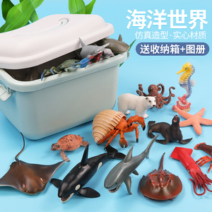 仿真海洋动物玩具套装海底生物世界模型鲨鱼白鲸儿童摆件宝宝认知