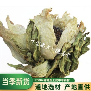 中药材 天山雪莲花雪莲雪荷花大雪莲花一枝15元