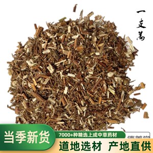 蜈蚣草中药