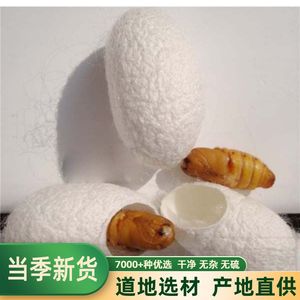 中药材 蚕茧蚕衣茧黄蚕茧壳不带蚕蛹100克 包邮