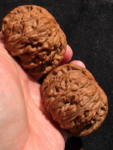 一瓣清心-50精品白狮子狮子头闷尖白狮子文玩把玩核桃1022