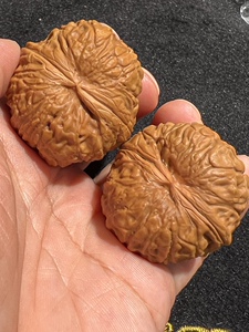 一瓣清心-38精品元宝麒麟墩狮子头纯野生小众文玩把玩核桃1110