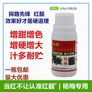 杨梅专用膨大剂红靓含氨基酸水溶肥料杨梅增甜着色剂汁多脆甜200g