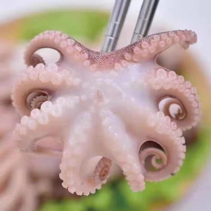 八爪鱼大爆头海鲜水产鲜活小章鱼冷冻小八抓鱼短腿迷你章鱼足3斤