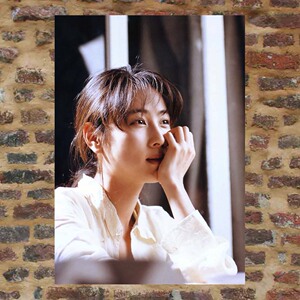 坂井泉水 海报定制lde81/共116款 满8张包郵 a3图片周边 zard照片