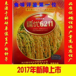 糯优6211杂交高产糯稻种子糯米稻谷种子糯稻品种水稻种子