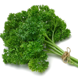 意大利欧芹种子摩西香芹  法香香草种籽皱叶 洋香菜 芹菜芫荽盆栽