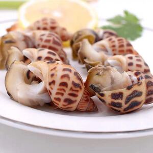 三亚深海小船捕捞鲜活野生海螺花螺500g东风螺活速冻顺丰3斤包邮