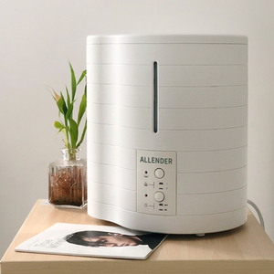 电加热蒸汽加湿器5l孕妇婴儿家用卧室热雾大雾量空气加湿高温沸腾