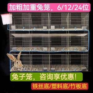 包邮兔笼12位24位子母兔笼养殖场专用兔笼大号大型繁殖种兔笼兔舍