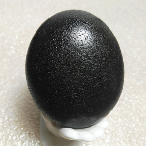 马达加斯加天然玛瑙原石  水冲籽料 黑皮乌鸦皮花纹奇石 (特价)