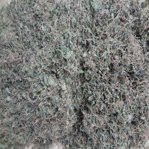 小叶青天葵 半边伞自然生长21年新货晒干零添加250克包邮