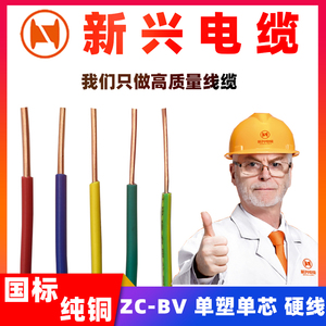 广州新兴电线阻燃ZC-BV1.5 2.5 4 6 10平方单支硬线家装电线国标