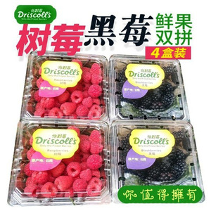 新鲜红树莓黑莓混合4盒鲜果云南省怡颗莓覆盆子稀有水果包邮顺丰
