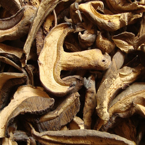 云南野生黑牛肝菌,黑牛肝中味道最美干品,精选级黑牛肝菌小黑桃