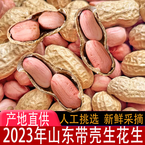 带壳生花生2023年5斤新鲜晒干高产种子薄壳山东原味粉红皮花生米3