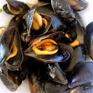 海鲜鲜活青口贝野生大海虹新鲜淡菜贻贝海鲜水产宝宝辅食5斤