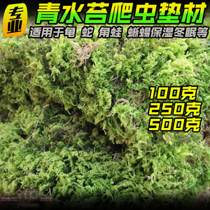 包邮过水水苔干苔藓 水龟蜥蜴角蛙垫材 造景智利水苔 保湿龟冬眠