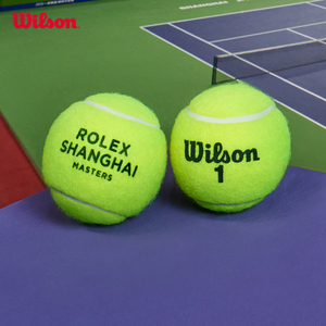 Wilson威尔胜官方上海大师赛法网专用比赛级多场地网球配件3只装