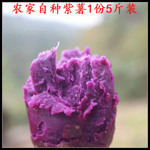 沂蒙农家紫薯新鲜红薯地瓜蔬菜山芋非越南糖心蜜薯沙土地紫署软糯